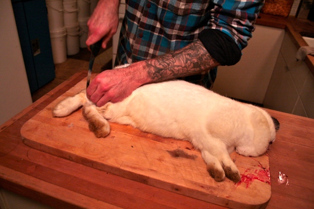 Rabbit Butchery